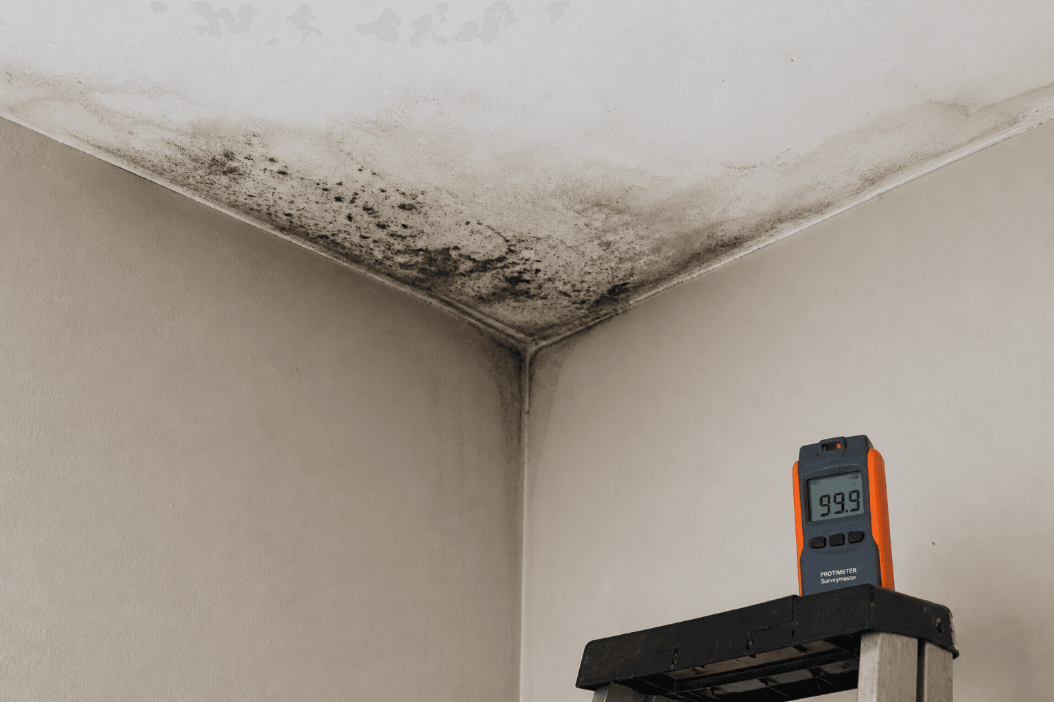 Mold assessment of ceiling moisture staining and evaluation